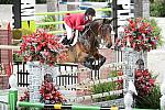 Animal_Planet-WIHS2-10-30-10-8731-DDeRosaPhoto.jpg