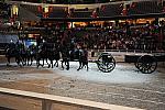 Animal_Planet-WIHS3-10-30-10-DSC_8354-DDeRosaPhoto.jpg