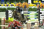 Animal_Planet-WIHS3-10-30-10-DSC_8720-MclainWard-Sapphire-DDeRosaPhoto-crop.jpg