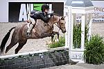 Animal_Planet-WIHS3-10-31-10-Cl113-MedPnyHtr-9500-Shitake-AleeceJarman-Barrel-DDeRosaPhoto.jpg