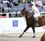 Brown_Advisory-WIHS2-10-27-10-MilitaryPolo-2091-DDeRosaPhoto.jpg