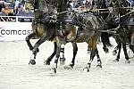 Comcast-WIHS2-10-28-10-4735-DDeRosaPhoto.jpg