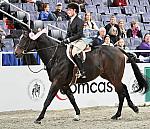 Comcast-WIHS3-10-31-10-Cl191-RegHtrFinalsHrs-0371-ColorMeBlue-CathleenDriscoll-DDeRosaPhoto.jpg