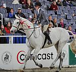 Comcast-WIHS3-10-31-10-Cl191-RegHtrFinalsHrs-0380-Sailaway-AshleyChucker-DDeRosaPhoto.jpg