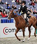 Comcast-WIHS3-10-31-10-Cl191-RegHtrFinalsHrs-0383-Valente-MeganMcGovern-DDeRosaPhoto.jpg