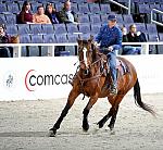 Comcast-WIHS3-10-31-10-WOH-0602-Barrel-DDeRosaPhoto.jpg