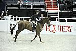 Equiery-WIHS1-10-26-10-9393-DDeRosaPhoto.jpg