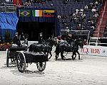 Equiery-WIHS2-10-30-10-8524-DDeRosaPhoto.jpg