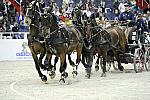 Geico-WIHS2-10-28-10-4734-DDeRosaPhoto.jpg