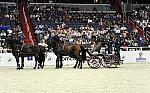 Geico-WIHS2-10-28-10-DSC_7920-DDeRosaPhoto.jpg