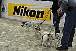 Nikon-WIHS2-10-28-10-4639-DDeRosaPhoto.jpg