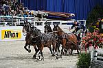 Nikon-WIHS2-10-29-10-6567-ChesterWeber-DDeRosaPhoto.jpg