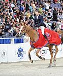 Pedigree-WIHS2-10-29-10-6376-DDeRosaPhoto.jpg