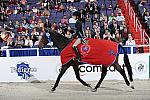 Pedigree-WIHS2-10-30-10-8486-DDeRosaPhoto.jpg