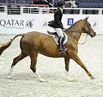 Qatar-WIHS-10-26-10-Cl13-RgConfHtr-7556-Quintessential-IsabellaNorton-DDeRosaPhoto.jpg