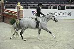 Qatar-WIHS1-10-26-10-Cl12-RgConfHtr-7442-Listen-KelleyFarmer-DDeRosaPhoto.jpg