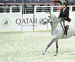 Qatar-WIHS1-10-26-10-Cl3-GrConfHtr-7745-SteelMyHeart-WinnAlden-DDeRosaPhoto.jpg