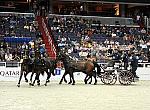 Qatar-WIHS2-10-28-10-DSC_7917-DDeRosaPhoto.jpg