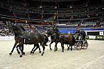 Qatar-WIHS2-10-28-10-DSC_7931-DDeRosaPhoto.jpg