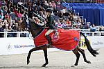 Teach_for_America-WIHS2-10-30-10-8494-DDeRosaPhoto.jpg