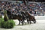 Teach_for_America-WIHS2-10-30-10-8669-DDeRosaPhoto.jpg