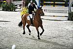Washington_Convention-WIHS2-10-30-10-8746-DDeRosaPhoto.jpg