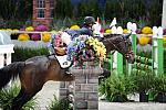 WIHS Childrens Jumper Champion