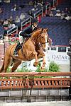 WIHS2-10-29-10-Cl181-WIHSEq-Htr-5651-LucyDavis-Patrick-DDeRosaPhoto.jpg