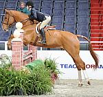 WIHS2-10-29-10-Cl181-WIHSEq-Htr-5652-LucyDavis-Patrick-DDeRosaPhoto.jpg