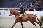 WIHS2-10-29-10-Cl181-WIHSEq-Htr-5695-TheodoreBoris-WCSwing-DDeRosaPhoto.jpg
