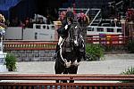 WIHS2-10-29-10-Cl181-WIHSEq-Htr-5701-CatherineBillings-Figaro-DDeRosaPhoto.jpg