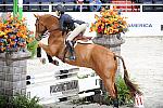 WIHS2-10-30-10-Cl182-WIHSEqJpr-8125-CharlotteJacobs-Sundance-DDeRosaPhoto.jpg