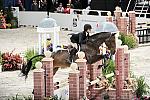 WIHS2-10-30-10-Cl182-WIHSEqJpr-8163-CassandraKahle-Vindoctro-DDeRosaPhoto.jpg