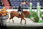 WIHS2-10-30-10-Cl182-WIHSEqJpr-8188-TheodoreBoris-WCSwing-DDeRosaPhoto.jpg