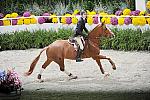 WIHS2-10-30-10-Cl182-WIHSEqJpr-8196-TheodoreBoris-WCSwing-DDeRosaPhoto.jpg