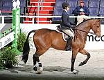 WIHS2-10-30-10-Cl182-WIHSEqJpr-8199-CatherineTyree-TripleLutz-DDeRosaPhoto.jpg