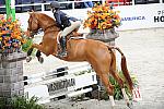 WIHS2-10-30-10-Cl182-WIHSEqJpr-8219-LucyDavis-Patrick-DDeRosaPhoto.jpg