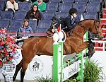 WIHS2-10-30-10-Cl182-WIHSEqJpr-8224-KatieDinan-Borealus-DDeRosaPhoto.jpg