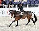WIHS2-10-30-10-Cl182-WIHSEqJpr-8347-LillieKeenan-Uno-DDeRosaPhoto.jpg