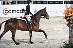 WIHS2-10-30-10-Cl182-WIHSEqJpr-8355-LillieKeenan-Uno-DDeRosaPhoto.jpg