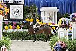 WIHS2-10-30-10-Cl182-WIHSEqJpr-8374-LillieKeenan-Uno-DDeRosaPhoto.jpg