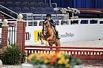 WIHS2-10-30-10-WIHSPnyEqFinals-7493-AlexandraCrown-Halo-DDeRosaPhoto.jpg