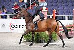 WIHS3-10-31-10-Cl191-RegHtrFinalsHrs-0332-Victoria-CoriKaylor-DDeRosaPhoto.jpg