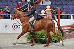 WIHS3-10-31-10-Cl191-RegHtrFinalsHrs-0353-Valente-MeganMcGovern-DDeRosaPhoto.jpg