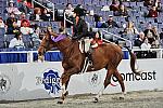 WIHS3-10-31-10-Cl191-RegHtrFinalsHrs-0368-Unscripted-SharonCohen-DDeRosaPhoto.jpg