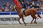 WIHS3-10-31-10-Cl191-RegHtrFinalsHrs-0374-Sofia-BonnieDarcey-DDeRosaPhoto.jpg