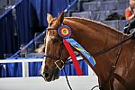 WIHS3-10-31-10-Cl191-RegHtrFinalsHrs-0396-Valente-MeganMcGovern-DDeRosaPhoto.jpg