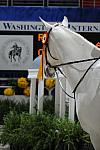 WIHS3-10-31-10-Cl191-RegHtrFinalsHrs-0403-Sailaway-AshleyChucker-DDeRosaPhoto-crop.jpg