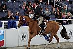 WIHS Regional Hunter Finals-Ponies