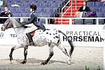 WIHS3-10-31-10-Cl193-LocHtrFinals-Pny-0176-WildCardCody-SarahAnderson-DDeRosaPhoto.jpg